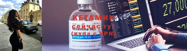 прущие грибы Балахна