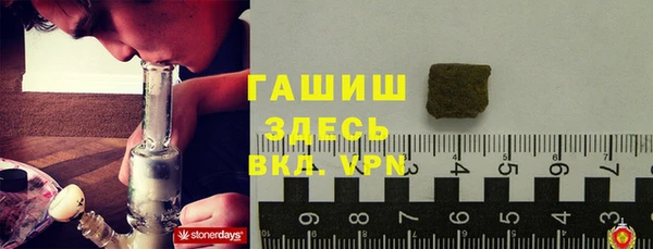 прущие грибы Балахна