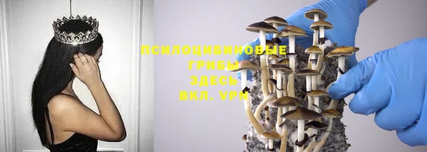 MESCALINE Михайлов