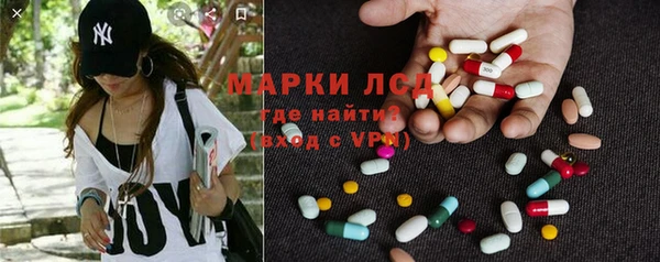 прущие грибы Балахна