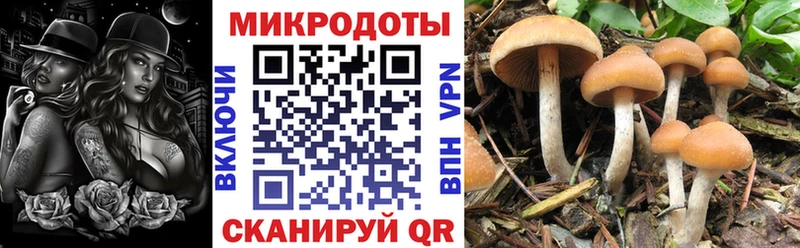 нарко площадка телеграм  МЕГА зеркало  Бобров  Галлюциногенные грибы GOLDEN TEACHER 